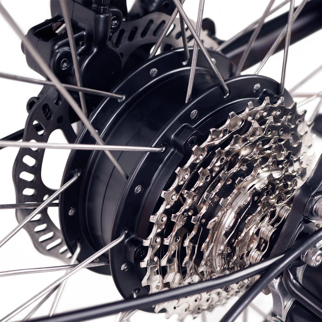 NCM London Plus - Image 9